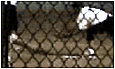 Frame1CloseupStretched.jpg (65229 bytes)