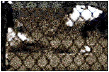 Frame3CloseupStretched.jpg (99577 bytes)